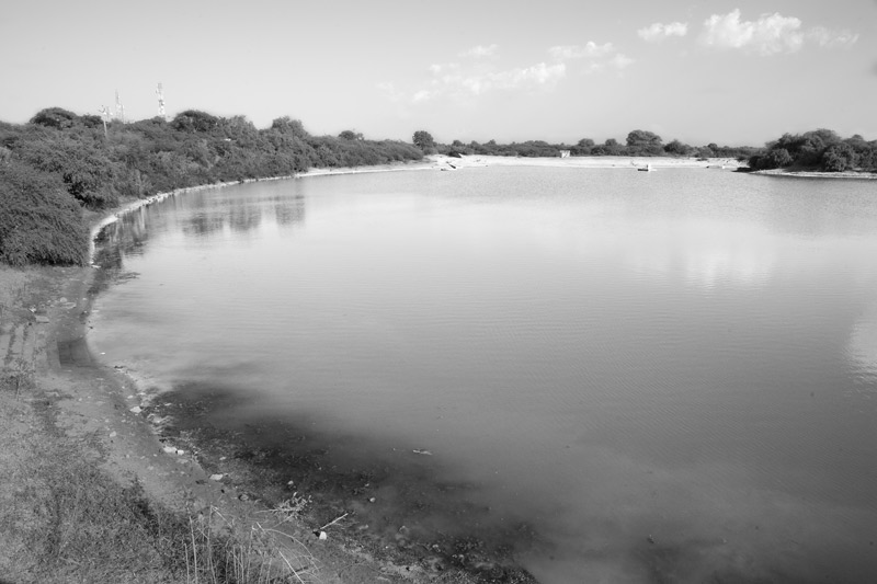 Integrated Solution for Rural Drinking Water Challenges - village pond which helps supply of sweet and safe drinking water through groundwater recharge in a salinity- and fluoride-affected area in Kutch district, Gujarat